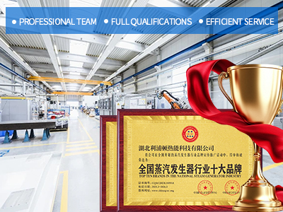 Professional steam boiler manufacturer