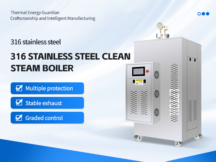 Stainless steel clean steam boiler