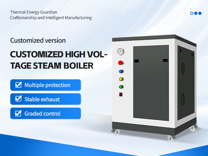 Customised high-pressure steam boilers