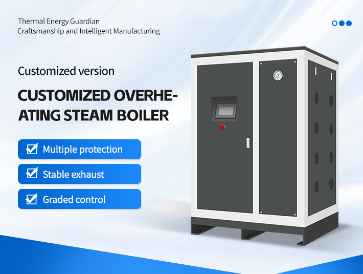 Custom-made superheated steam boilers